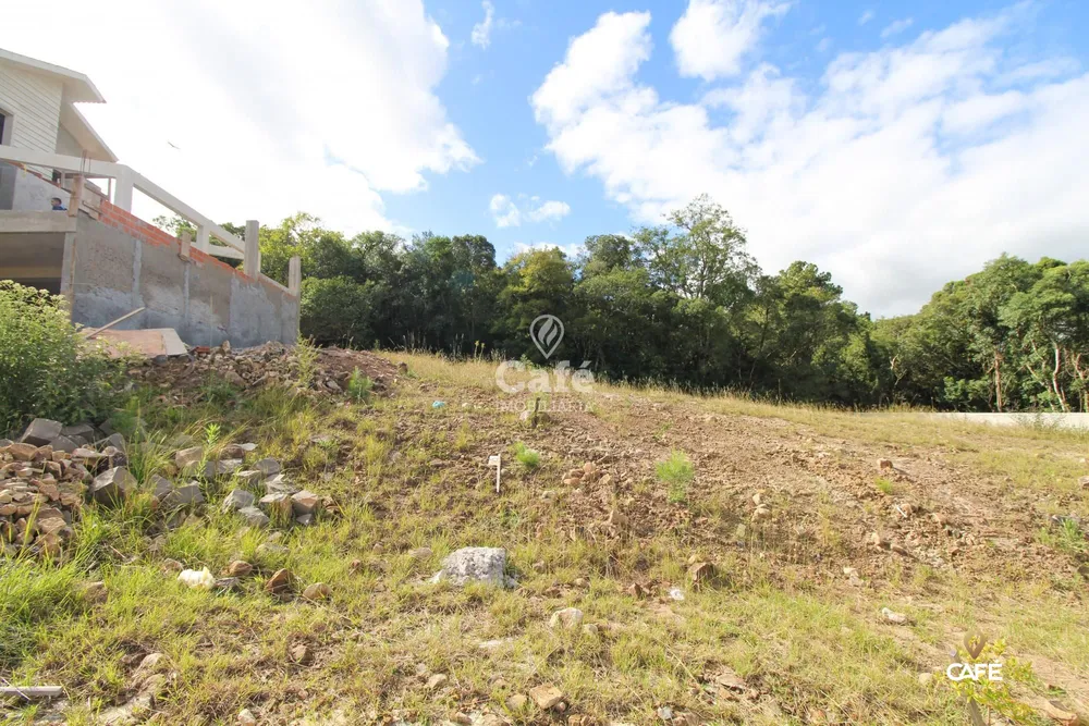 Terreno, 502 m² - Foto 3