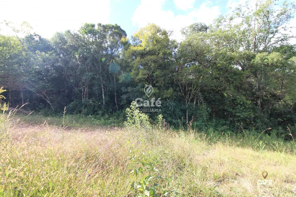 Terreno, 502 m² - Foto 4