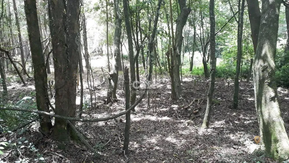 Terreno, 1000 m² - Foto 4