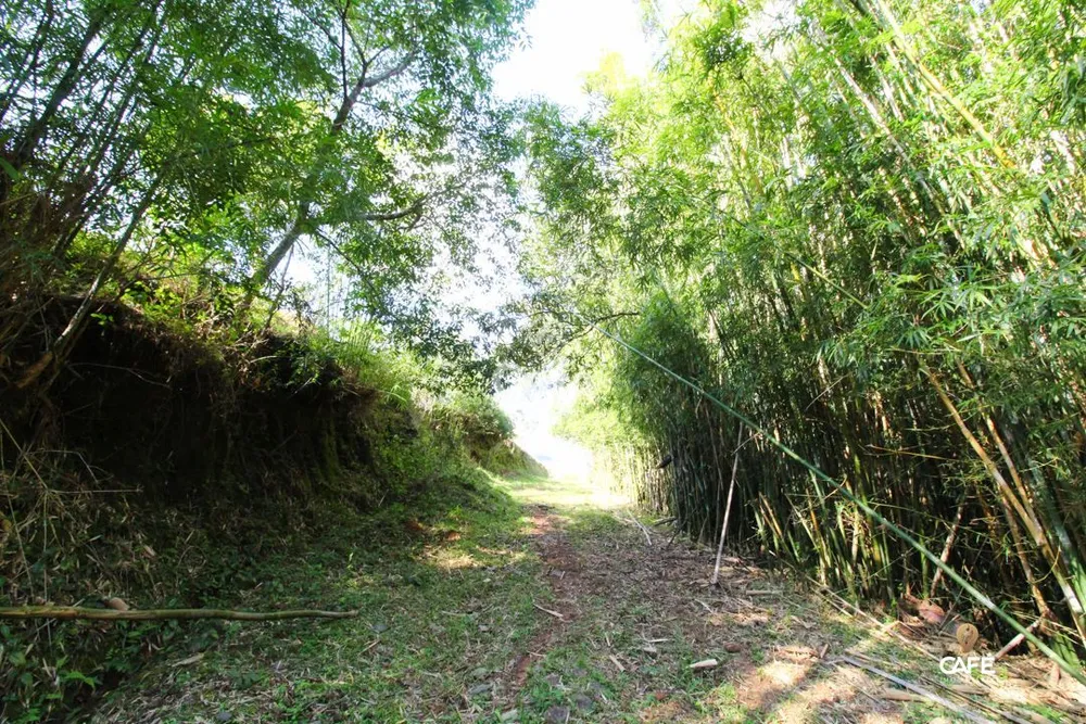 Loteamento e Condomínio, 2 hectares - Foto 3