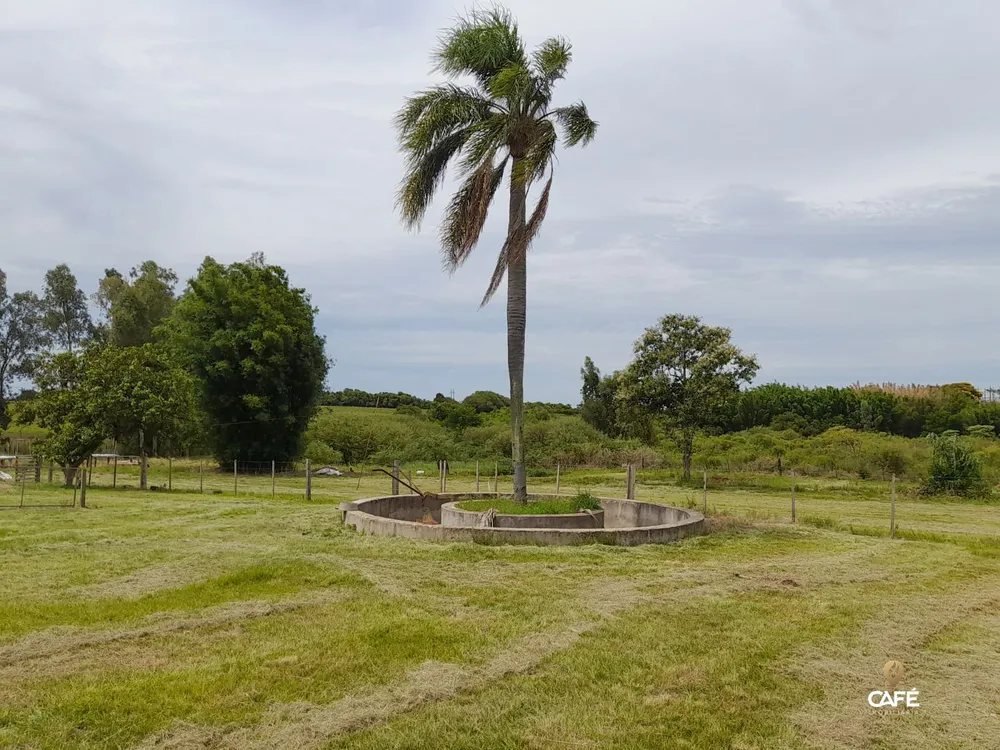 Sítio, 3 quartos, 30000 hectares - Foto 1