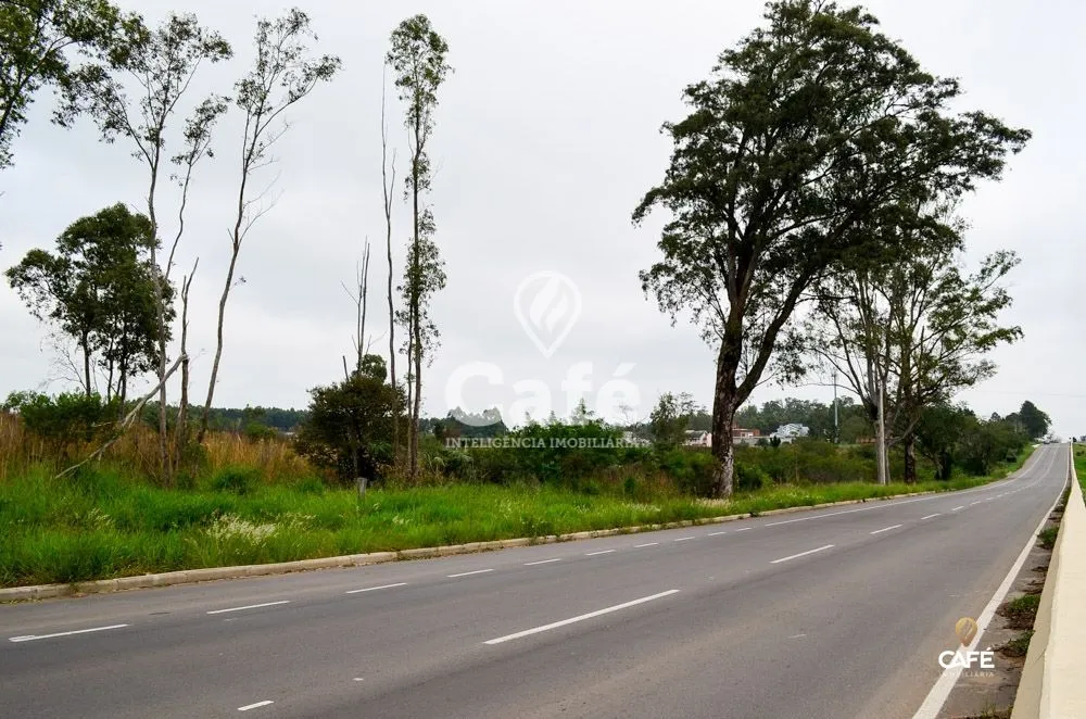 Terreno, 17 hectares - Foto 1