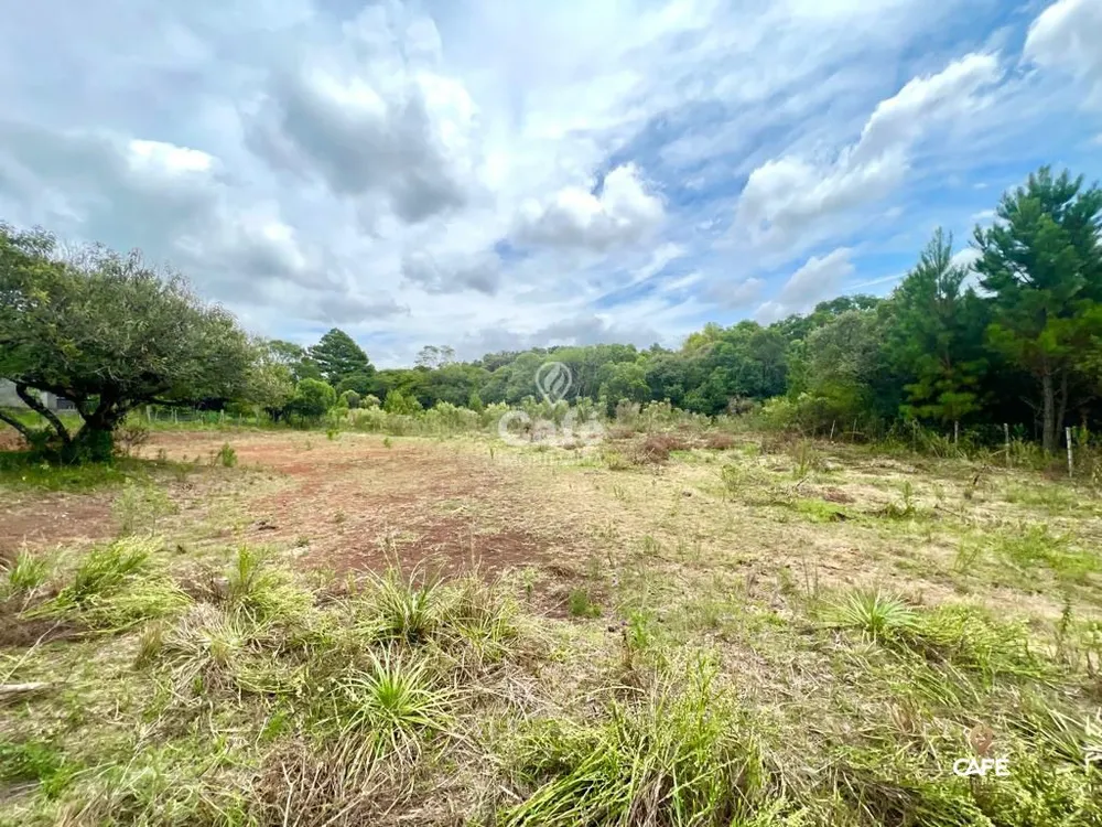 Terreno, 1000 m² - Foto 1