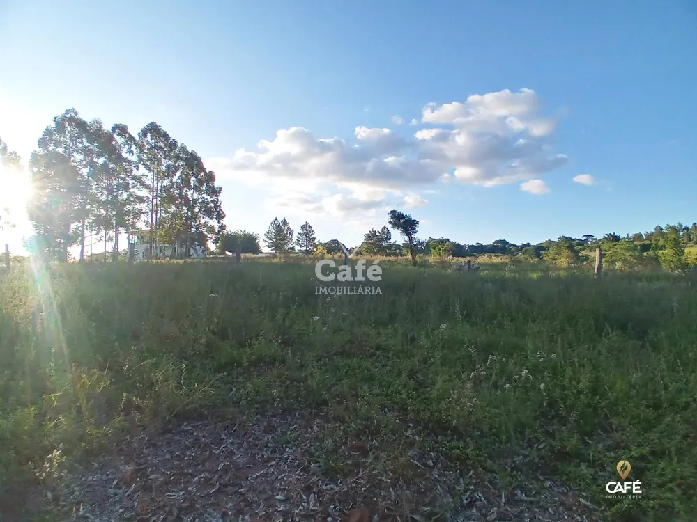 Chácara, 2 quartos, 35000 hectares - Foto 4