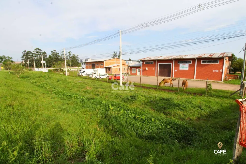 Terreno, 3500 m² - Foto 1
