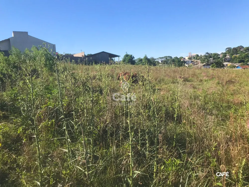 Terreno, 660 m² - Foto 4