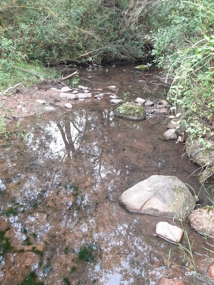 Sítio, 2 quartos, 380000 hectares - Foto 4