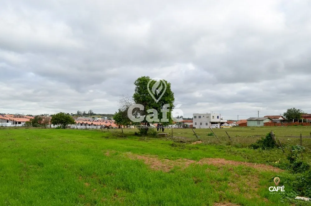Terreno, 2 hectares - Foto 4
