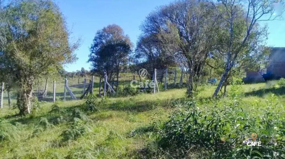 Terreno, 3000 m² - Foto 4