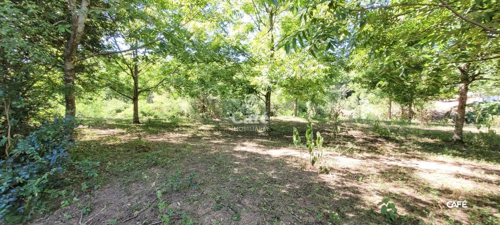Terreno, 3758 m² - Foto 4