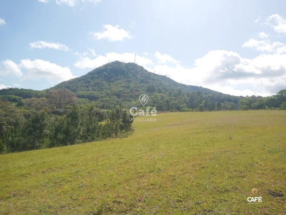 Terreno, 2 hectares - Foto 2