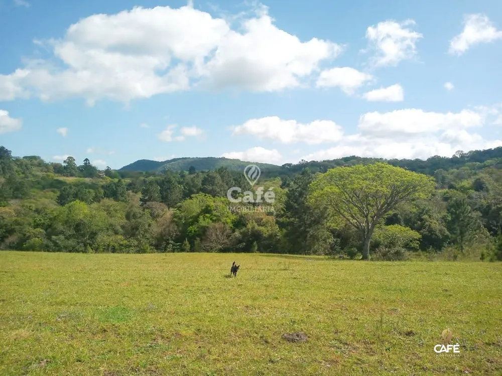 Terreno, 2 hectares - Foto 3