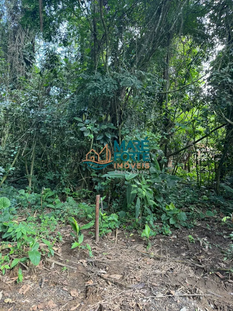 Terreno, 900 m² - Foto 7