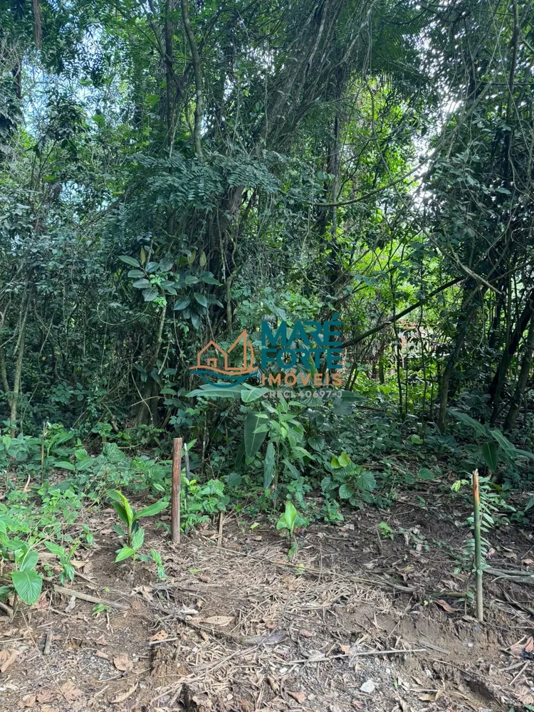 Terreno, 900 m² - Foto 5
