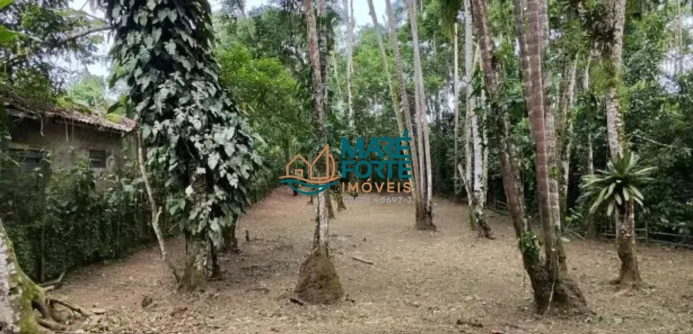 Terreno, 583 m² - Foto 7