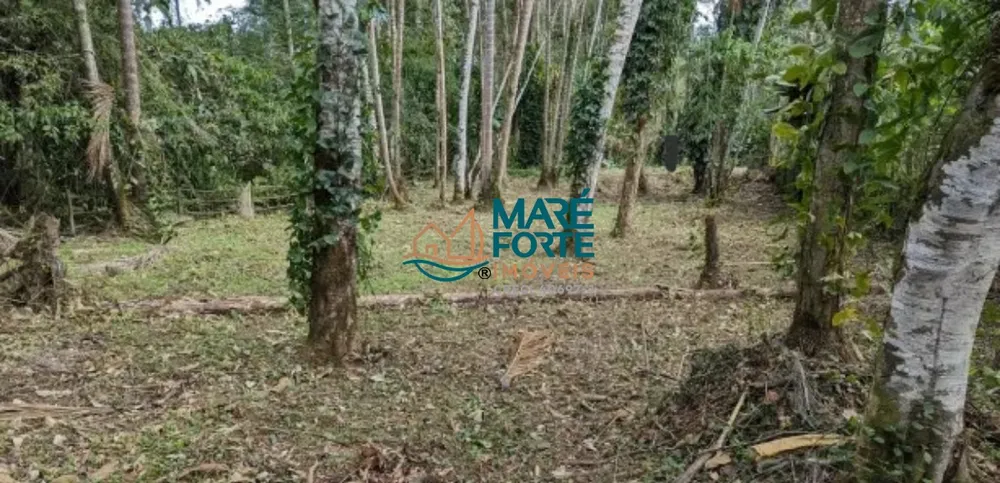 Terreno, 583 m² - Foto 4
