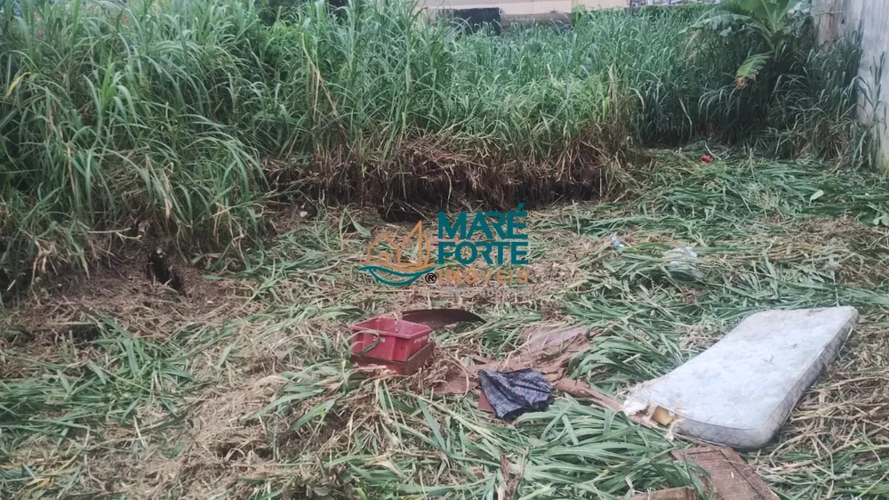 Terreno, 300 m² - Foto 2