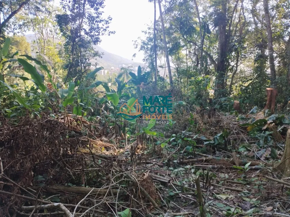 Terreno, 666 m² - Foto 10