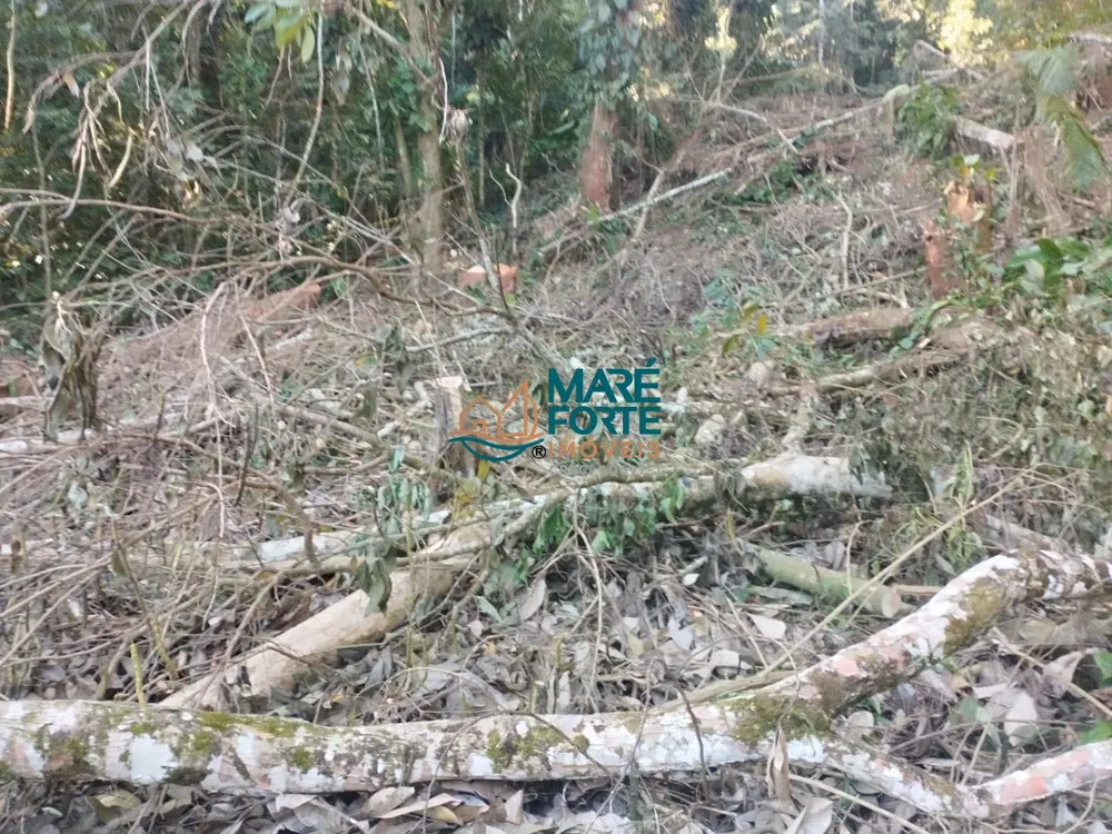 Terreno, 666 m² - Foto 11