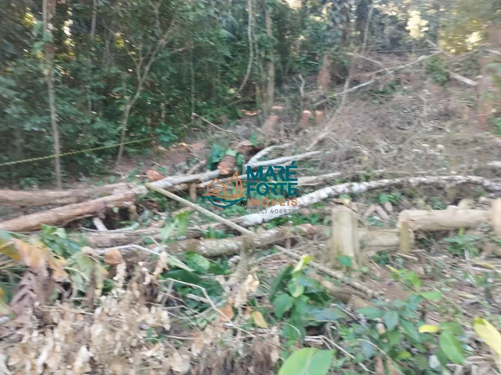 Terreno, 666 m² - Foto 1