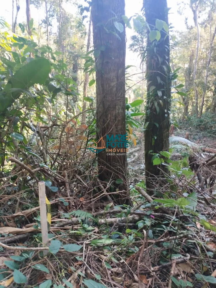 Terreno, 666 m² - Foto 4
