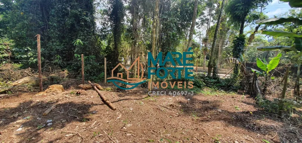 Terreno, 300 m² - Foto 3