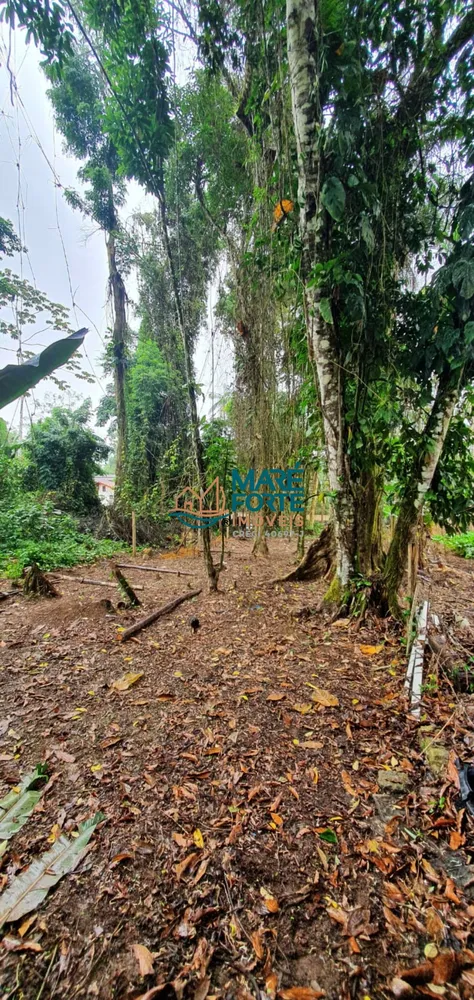 Terreno, 300 m² - Foto 5