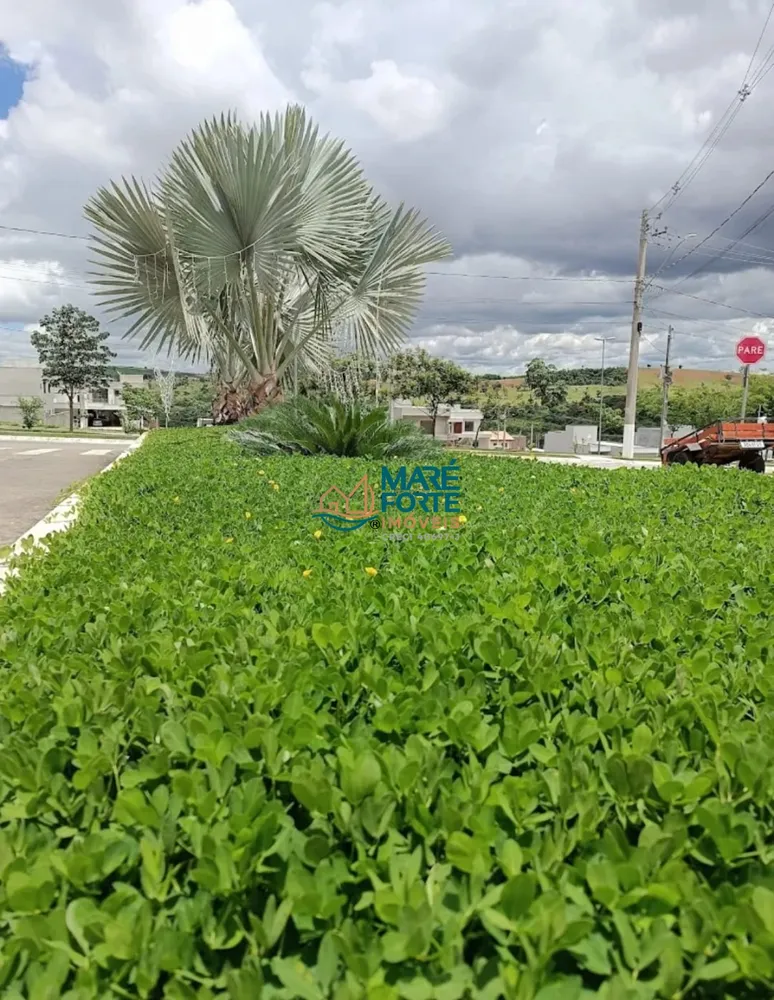 Terreno, 250 m² - Foto 5
