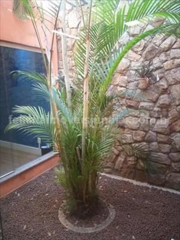 Casa, 3 quartos, 250 m² - Foto 2