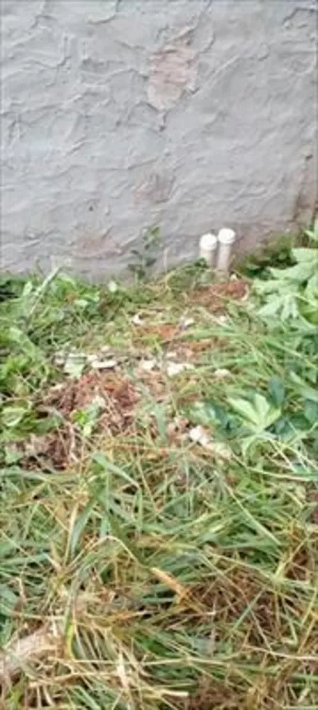 Terreno - Foto 3