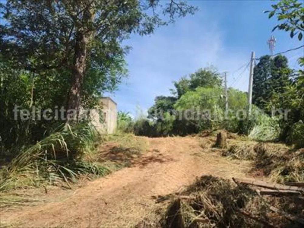 Fazenda à venda com 2 quartos, 100m² - Foto 2