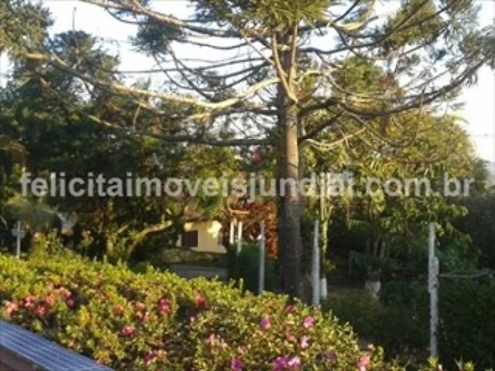 Sítio, 3 quartos, 600 m² - Foto 11