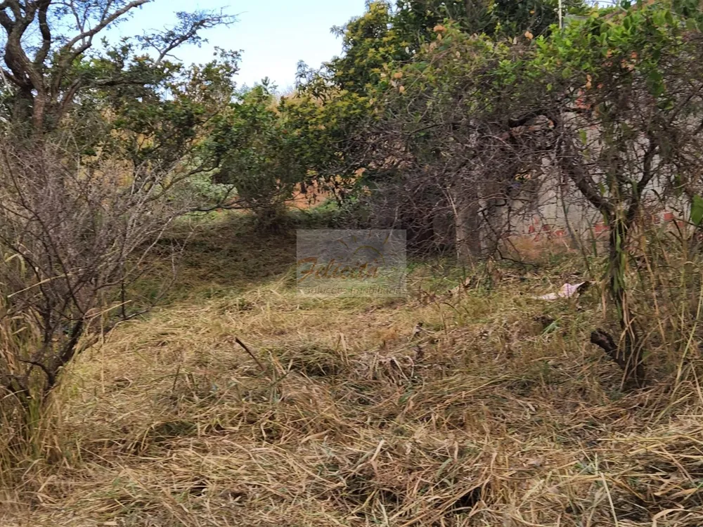 Terreno, 1200 m² - Foto 1