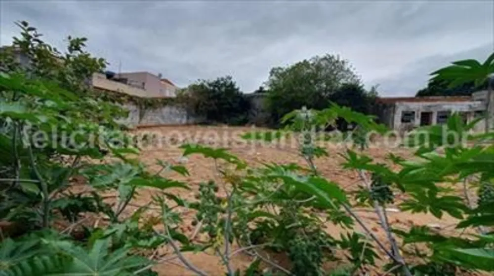 Terreno - Foto 1