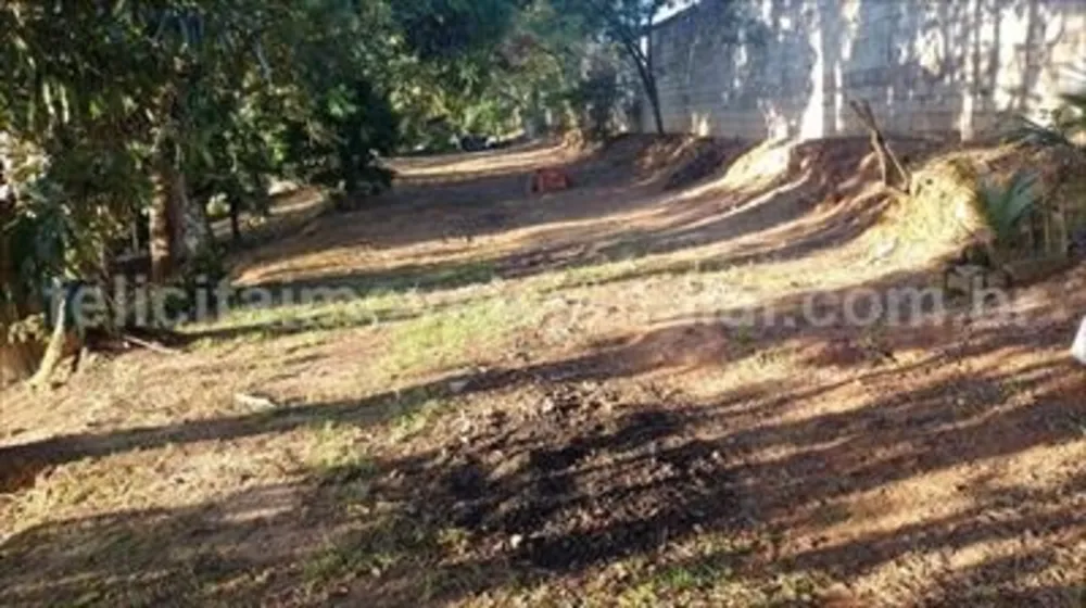 Sítio, 2 quartos, 100 m² - Foto 2