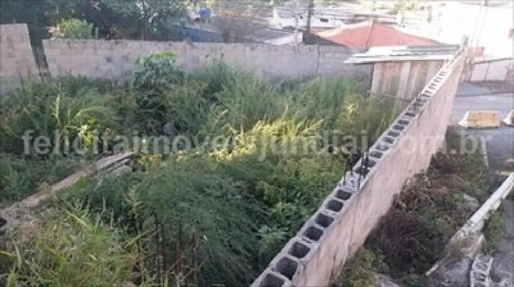Terreno - Foto 2