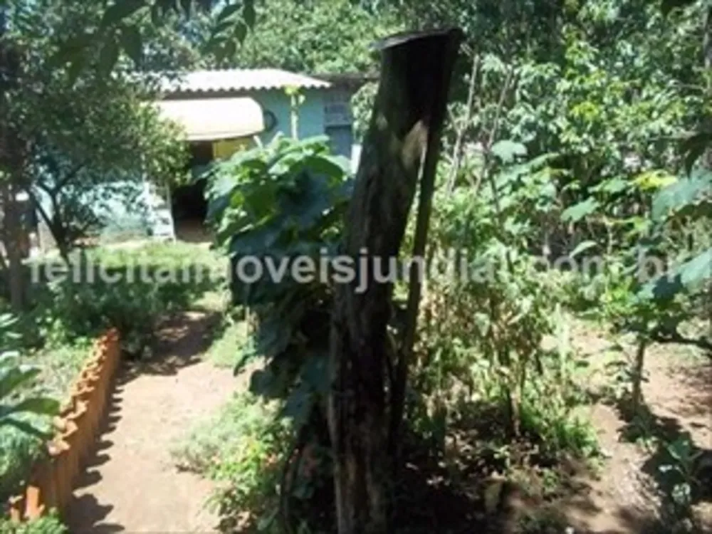 Sítio, 2 quartos, 200 m² - Foto 10