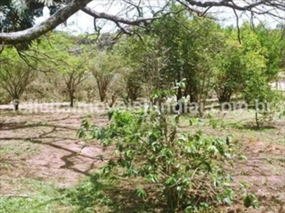 Chácara, 5 quartos - Foto 8