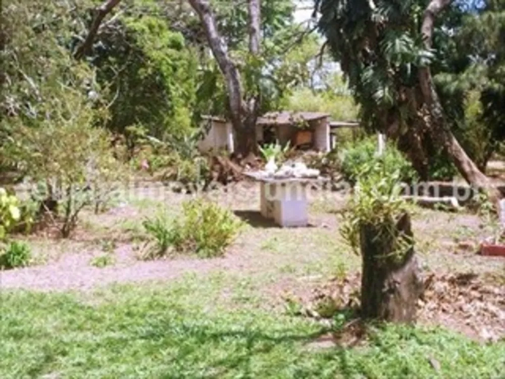 Sítio, 5 quartos, 512 m² - Foto 1