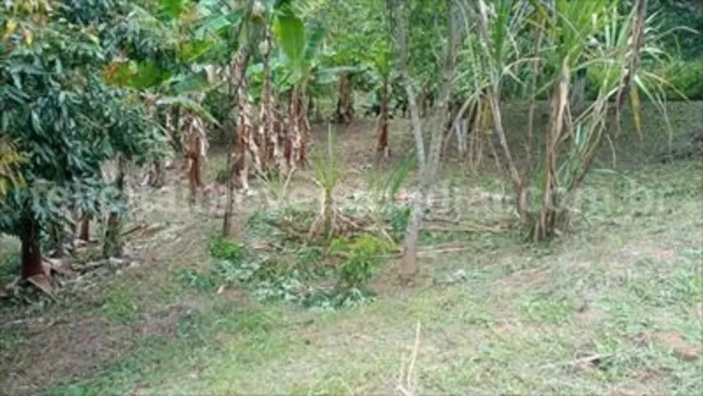 Chácara, 3 quartos - Foto 10