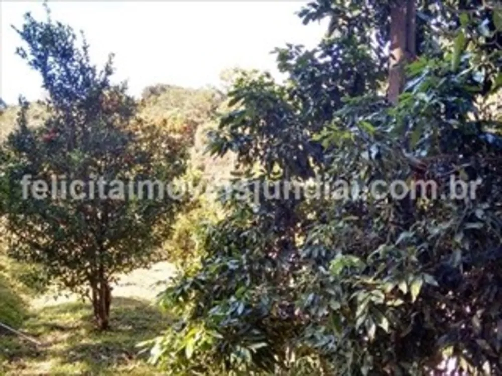 Sítio, 3 quartos, 500 m² - Foto 5