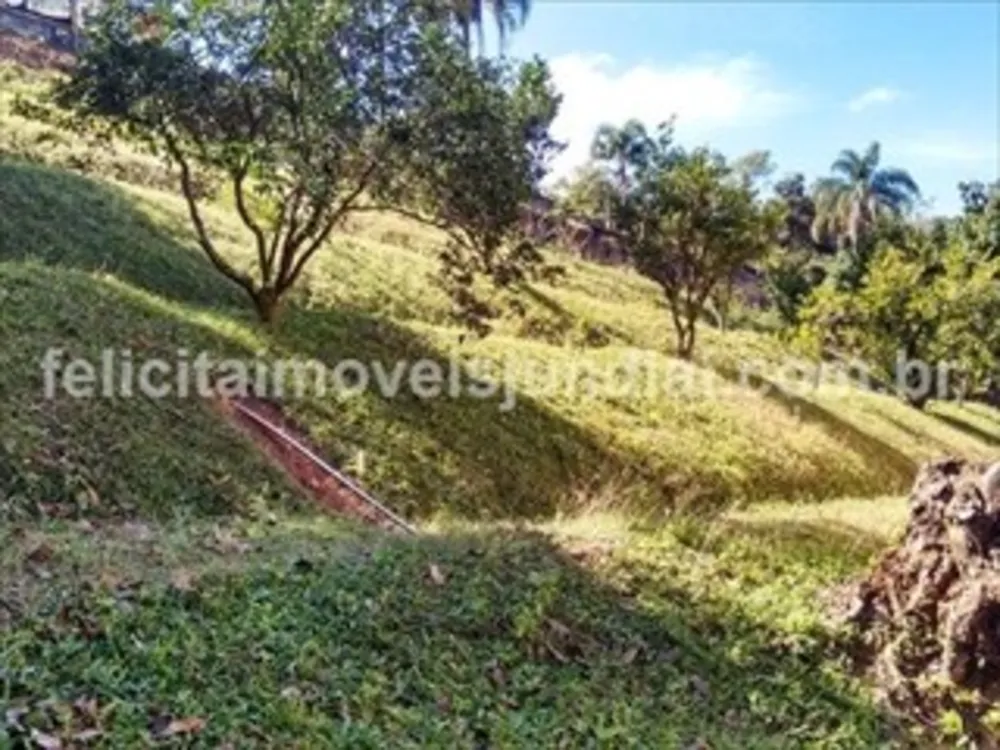 Sítio, 3 quartos, 500 m² - Foto 4