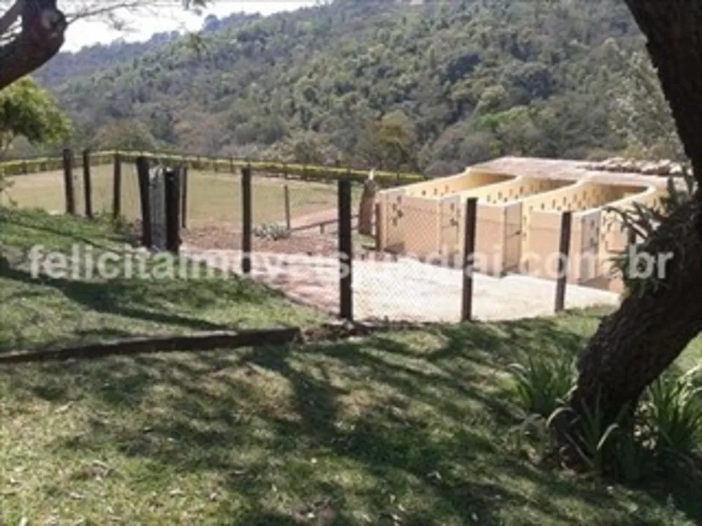 Fazenda, 5 quartos - Foto 2