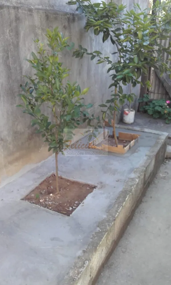 Casa, 3 quartos, 300 m² - Foto 3