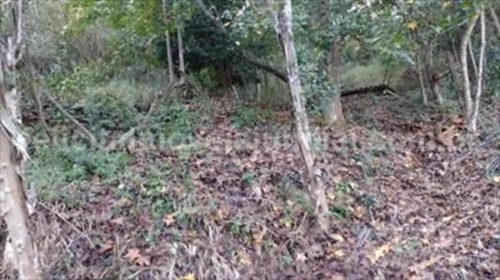 Chácara, 5 quartos - Foto 4