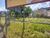 Terreno, 1229 m² - Foto 4