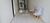 Prédio Inteiro, 25 m² - Foto 2