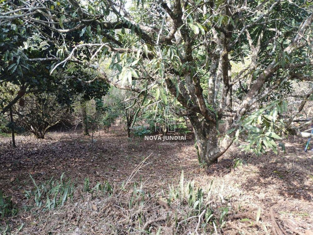 Chácara, 2 quartos, 2580 m² - Foto 4