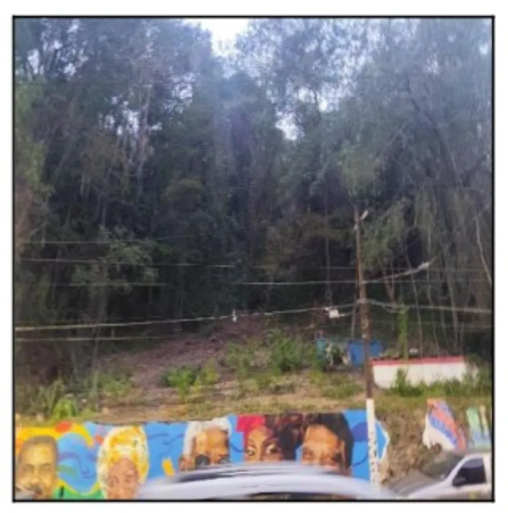 Terreno, 50 m² - Foto 1