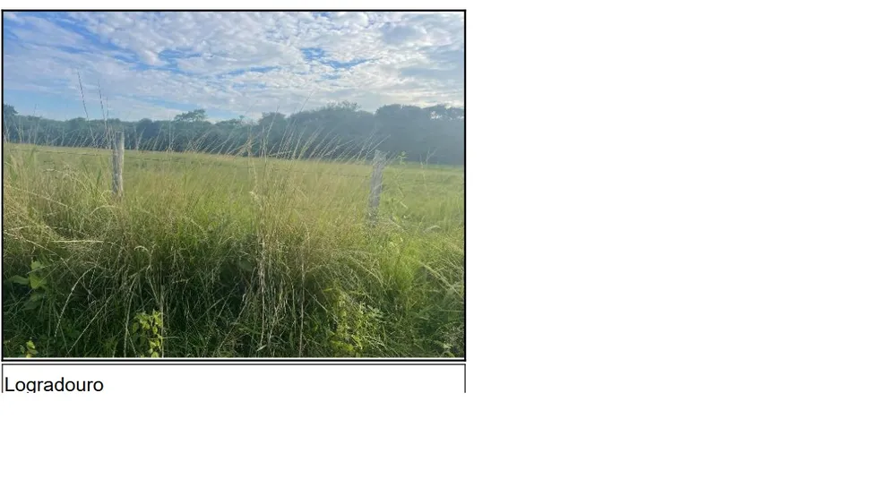 Terreno, 50 m² - Foto 2